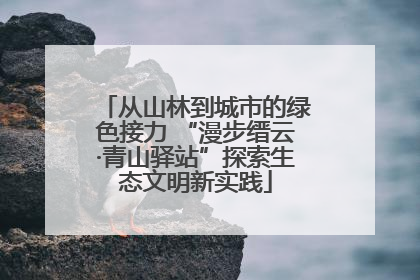从山林到城市的绿色接力 “漫步缙云·青山驿站”探索生态文明新实践
