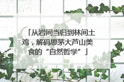 从岩间当归到林间土鸡，解码思茅大芦山美食的“自然哲学”