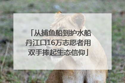 从捕鱼船到护水船 丹江口16万志愿者用双手捧起生态信仰