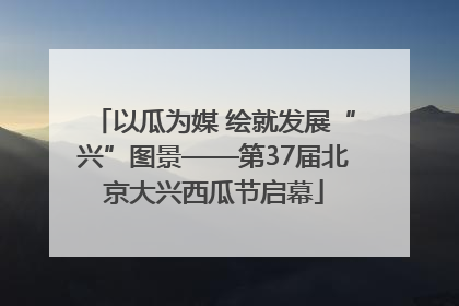 以瓜为媒 绘就发展“兴”图景——第37届北京大兴西瓜节启幕