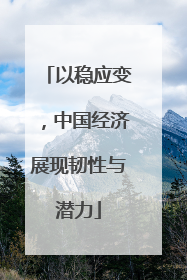 以稳应变，中国经济展现韧性与潜力