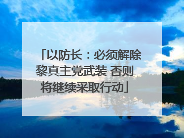 以防长：必须解除黎真主党武装 否则将继续采取行动