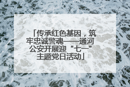 传承红色基因，筑牢忠诚警魂——通河公安开展迎“七一”主题党日活动