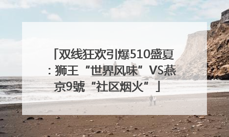 双线狂欢引爆510盛夏：狮王“世界风味”VS燕京9號“社区烟火”