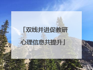 双线并进促教研 心理信息共提升