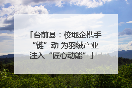 台前县：校地企携手“链”动 为羽绒产业注入“匠心动能”