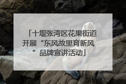 十堰张湾区花果街道开展“东风故里育新风”品牌宣讲活动