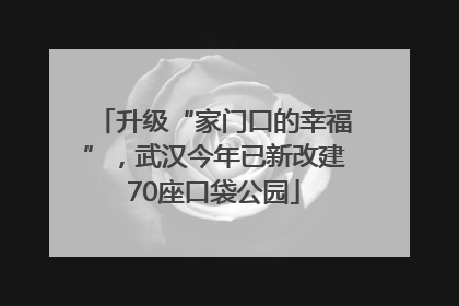 升级“家门口的幸福”，武汉今年已新改建70座口袋公园