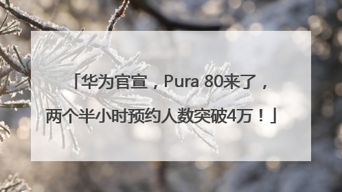 华为官宣，Pura 80来了，两个半小时预约人数突破4万！