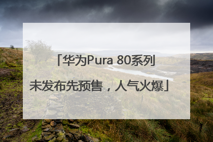华为Pura 80系列未发布先预售，人气火爆
