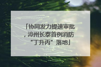 协同发力提速审批，漳州长泰首例消防“丁升丙”落地