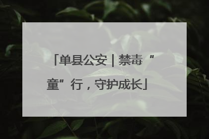 单县公安｜禁毒“童”行，守护成长