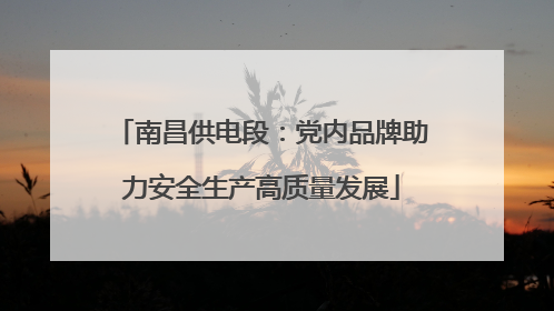 南昌供电段：党内品牌助力安全生产高质量发展