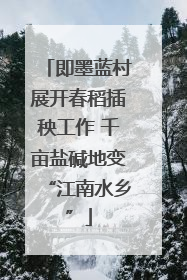 即墨蓝村展开春稻插秧工作 千亩盐碱地变“江南水乡”