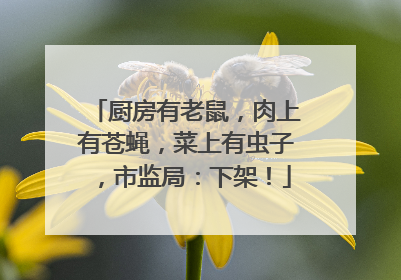 厨房有老鼠，肉上有苍蝇，菜上有虫子，市监局：下架！