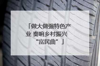 做大做强特色产业 奏响乡村振兴“富民曲”