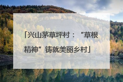 兴山茅草坪村：“草根精神”铸就美丽乡村