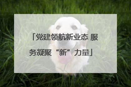 党建领航新业态 服务凝聚“新”力量
