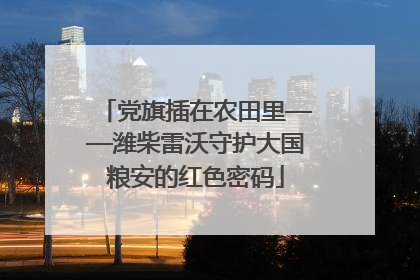 党旗插在农田里——潍柴雷沃守护大国粮安的红色密码