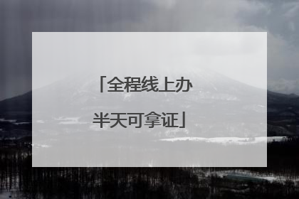 全程线上办 半天可拿证