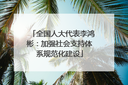 全国人大代表李鸿彬：加强社会支持体系规范化建设