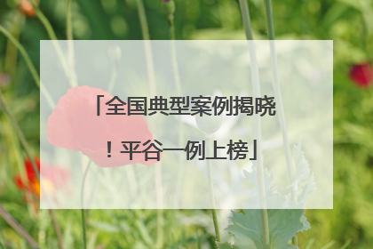 全国典型案例揭晓！平谷一例上榜