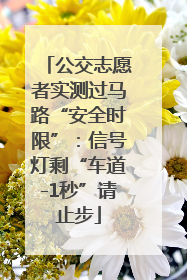 公交志愿者实测过马路“安全时限”：信号灯剩“车道-1秒”请止步
