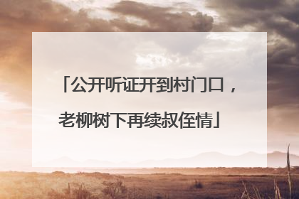 公开听证开到村门口，老柳树下再续叔侄情