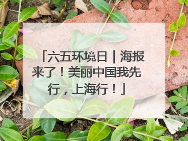 六五环境日｜海报来了！美丽中国我先行，上海行！