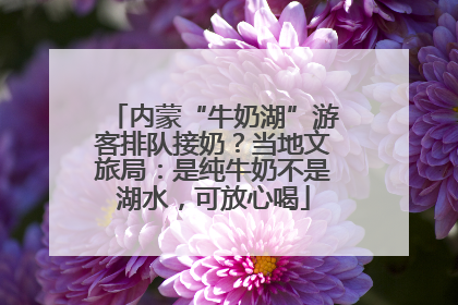 内蒙“牛奶湖”游客排队接奶？当地文旅局：是纯牛奶不是湖水，可放心喝