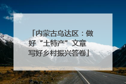 内蒙古乌达区：做好“土特产”文章 写好乡村振兴答卷