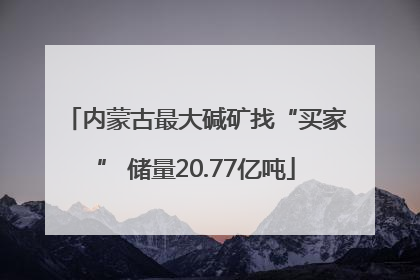 内蒙古最大碱矿找“买家” 储量20.77亿吨