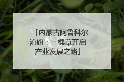 内蒙古阿鲁科尔沁旗：一棵草开启产业发展之路