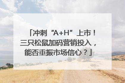 冲刺“A+H”上市！三只松鼠加码营销投入，能否重振市场信心？