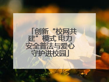 创新“校网共建”模式 电力安全普法与爱心守护进校园