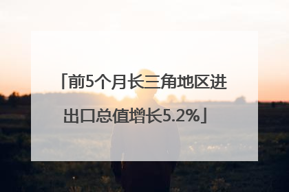 前5个月长三角地区进出口总值增长5.2%