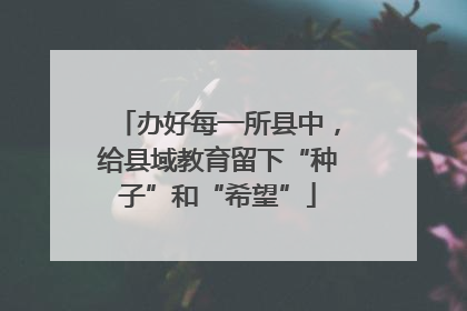 办好每一所县中，给县域教育留下“种子”和“希望”