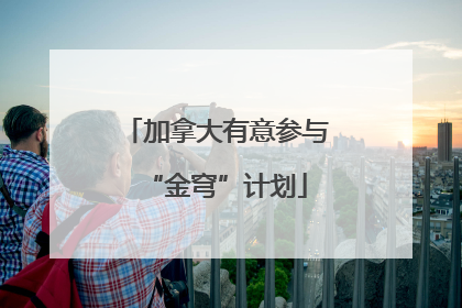 加拿大有意参与“金穹”计划