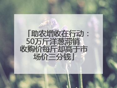 助农增收在行动：50万斤洋葱滞销 收购价每斤却高于市场价三分钱