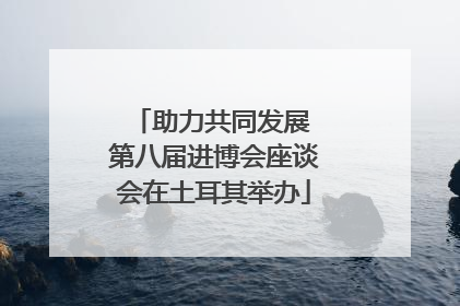 助力共同发展 第八届进博会座谈会在土耳其举办