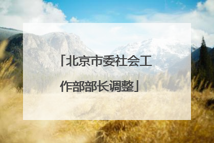 北京市委社会工作部部长调整