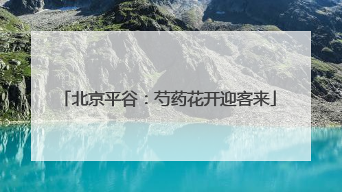 北京平谷：芍药花开迎客来