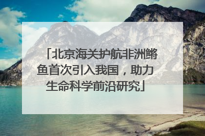 北京海关护航非洲鳉鱼首次引入我国，助力生命科学前沿研究