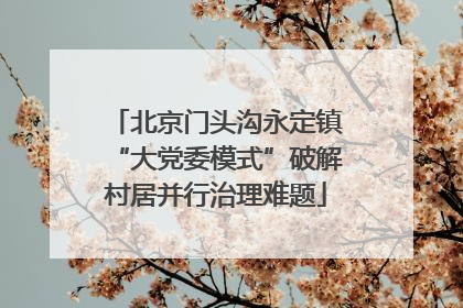 北京门头沟永定镇“大党委模式”破解村居并行治理难题