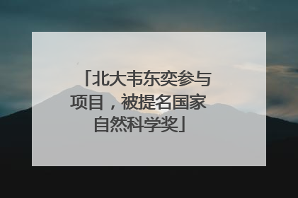 北大韦东奕参与项目，被提名国家自然科学奖