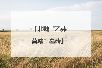 北魏“乙弗莫瓌”墓砖
