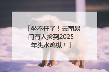 坐不住了！云南易门有人捡到2025年头水鸡枞！