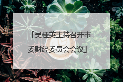 吴桂英主持召开市委财经委员会会议