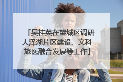 吴桂英在望城区调研大泽湖片区建设、文科旅医融合发展等工作