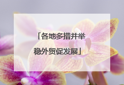 各地多措并举稳外贸促发展